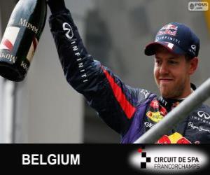 yapboz Sebastian Vettel Belçika 2013 Grand Prix zaferi kutluyor